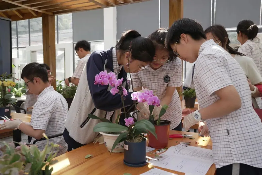 中考放榜!来天一中学奔赴下一程山海-第27张图片-四季读书网