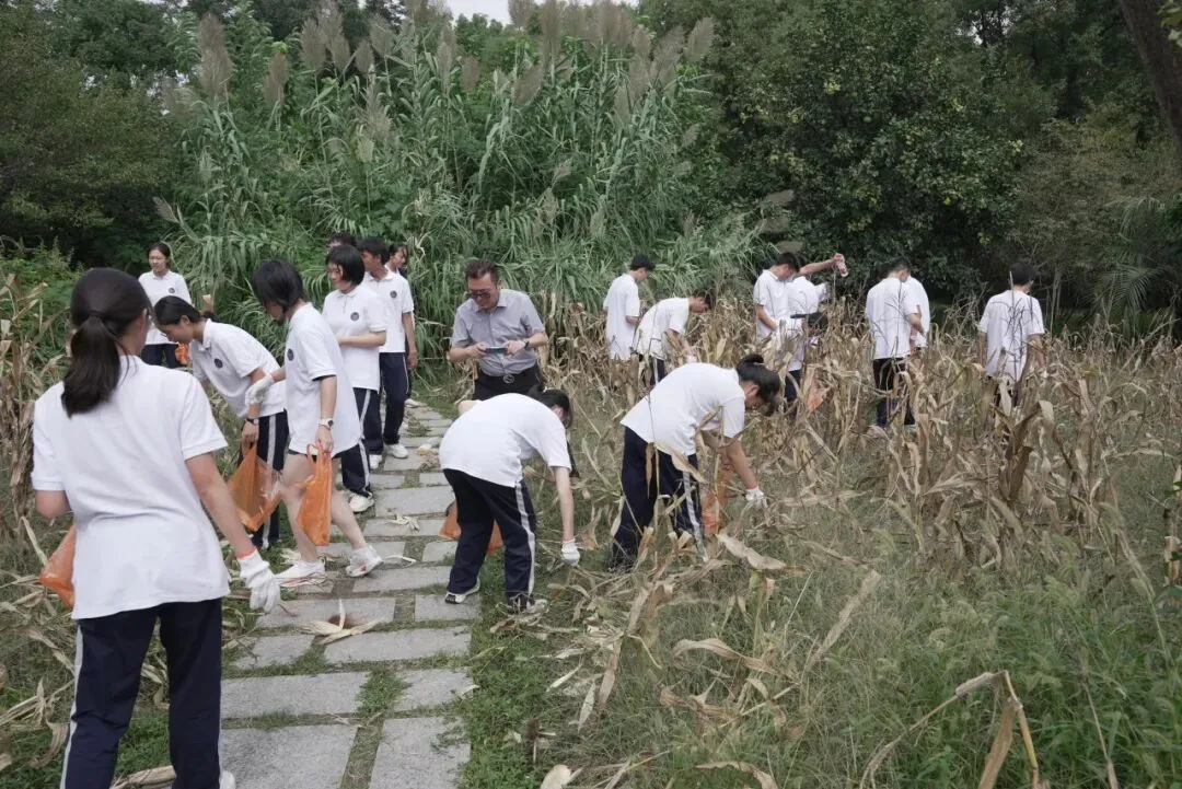 中考放榜!来天一中学奔赴下一程山海-第28张图片-四季读书网