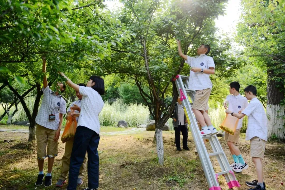 中考放榜!来天一中学奔赴下一程山海-第32张图片-四季读书网