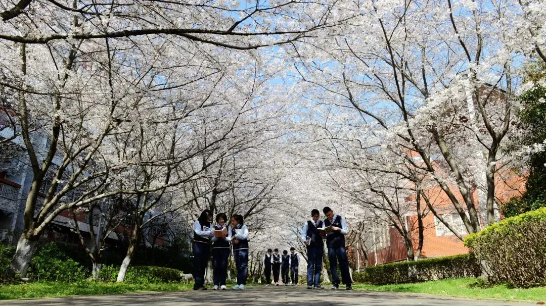 中考放榜!来天一中学奔赴下一程山海-第34张图片-四季读书网