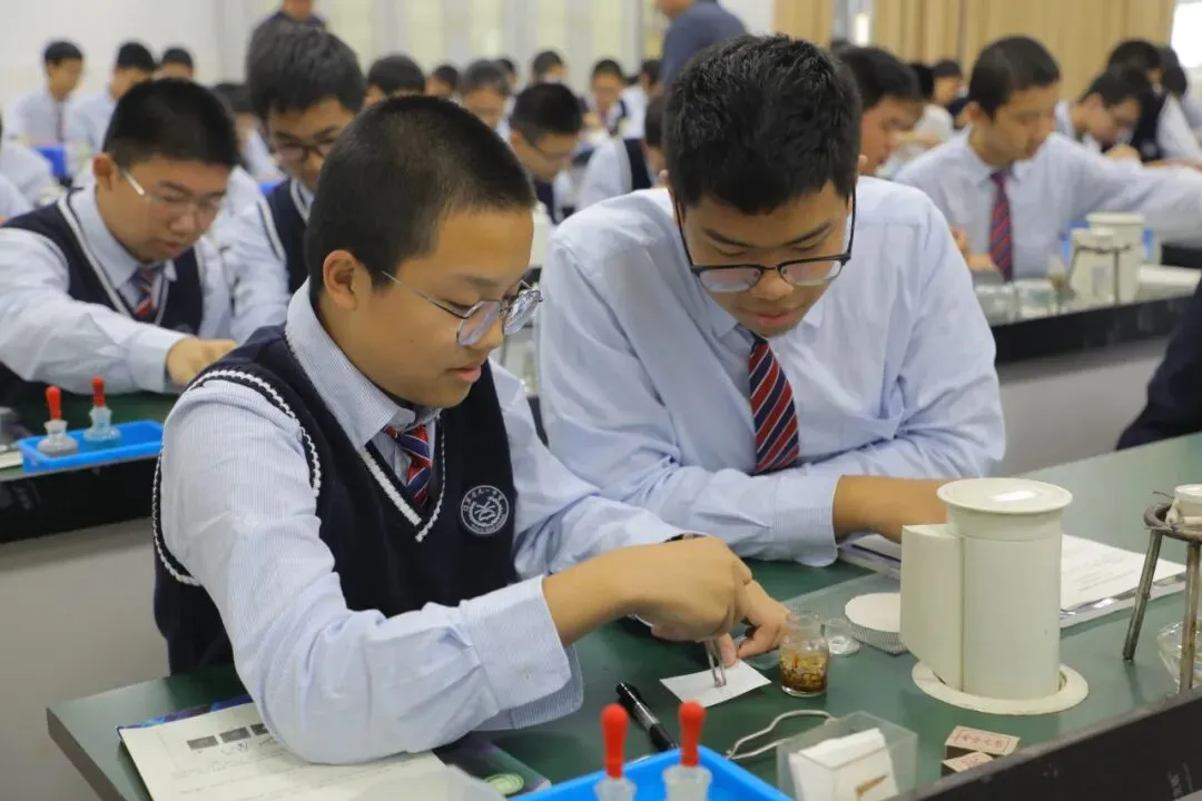 中考放榜!来天一中学奔赴下一程山海-第59张图片-四季读书网