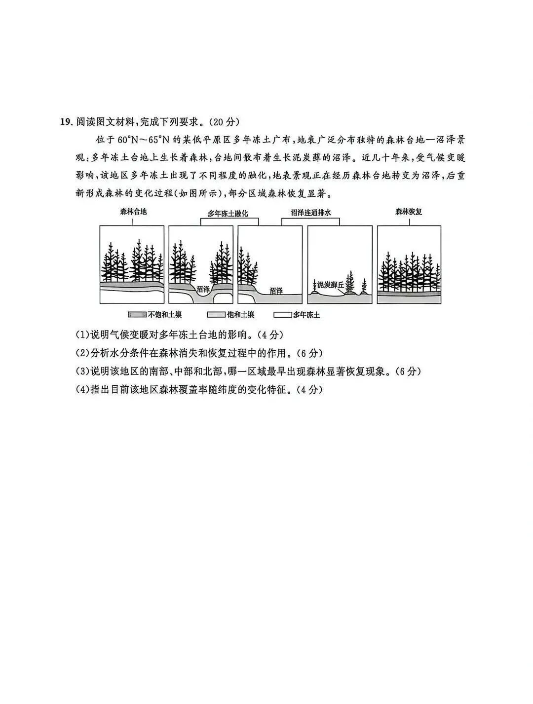 2026年高考真题,河南卷-第8张图片-四季读书网