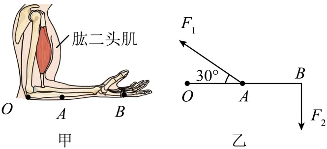 人教版八年级下册物理期末考试模拟试题-第36张图片-四季读书网