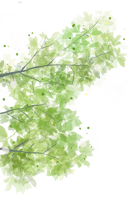 【中考分出炉】多少分能上仪征技师学院?官方招生简章正式发布,助你精准锁定!-第47张图片-四季读书网