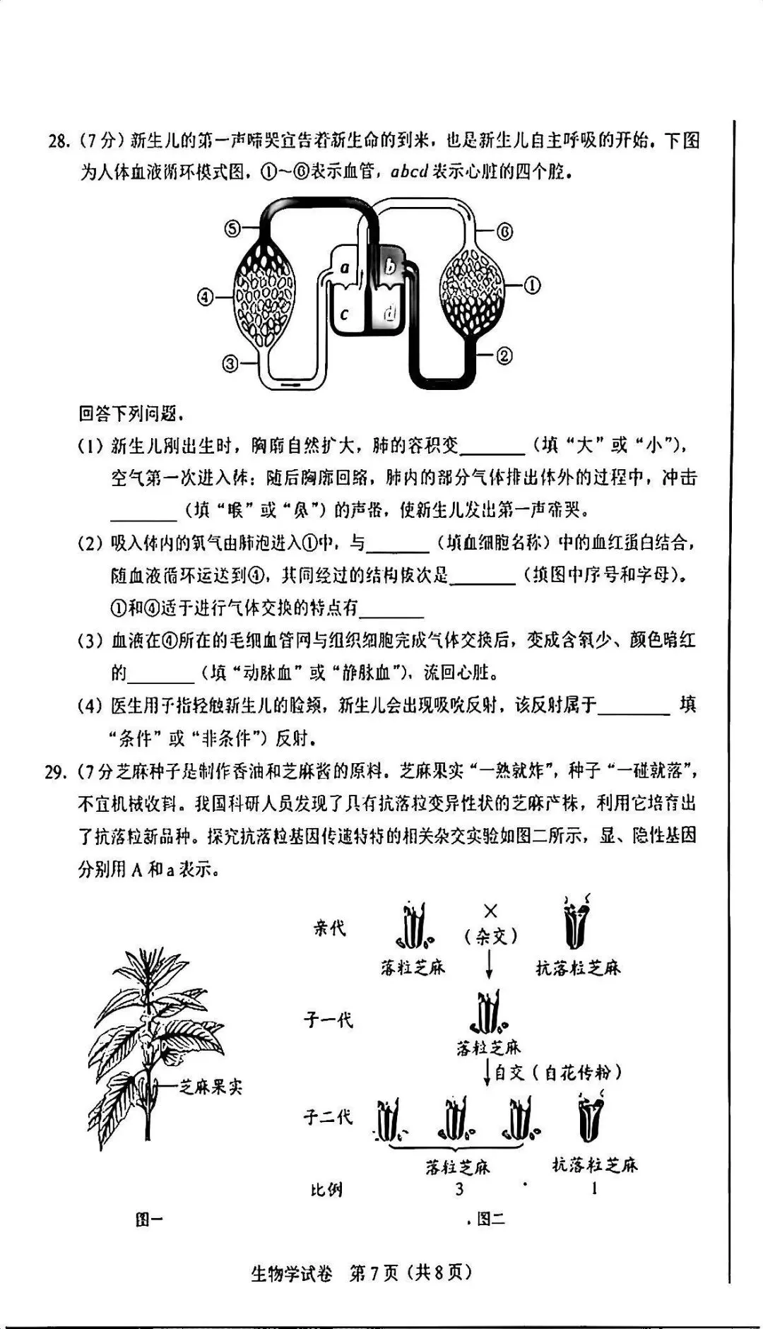 2026河北“中考”生物真题与答案-第7张图片-四季读书网