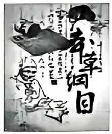 中考真题 | 2026年黑龙江省齐齐哈尔市初中历史中考真题(含答案)-第4张图片-四季读书网