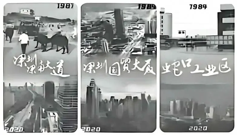 中考真题 | 2026年黑龙江省齐齐哈尔市初中历史中考真题(含答案)-第18张图片-四季读书网