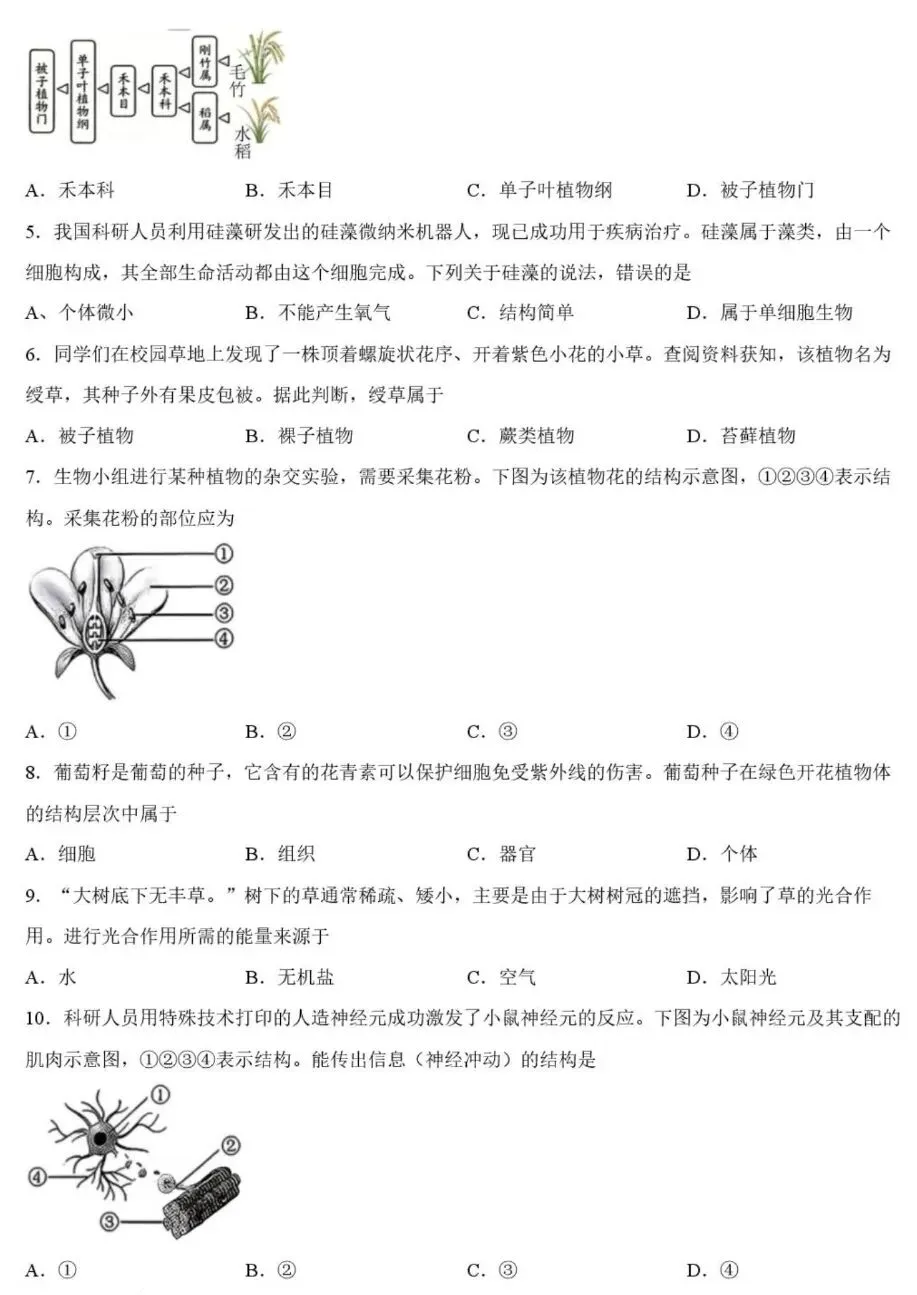 中考试卷:2026年河北省初中学业水平考试生物学试卷+参考答案-第3张图片-四季读书网