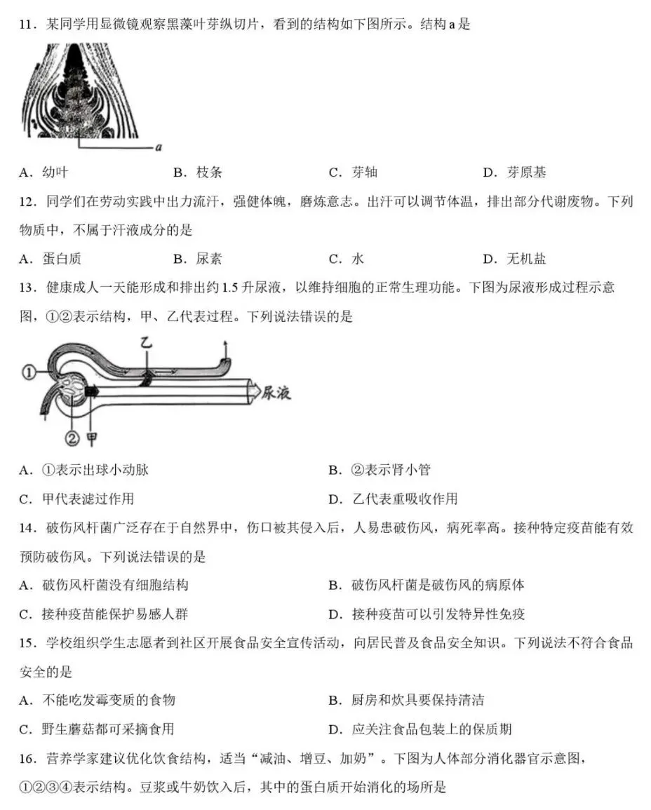 中考试卷:2026年河北省初中学业水平考试生物学试卷+参考答案-第4张图片-四季读书网