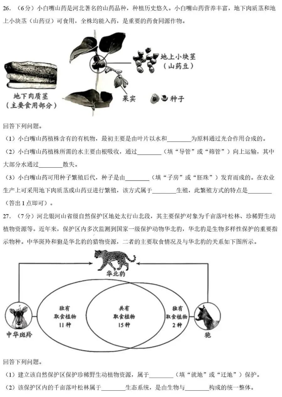 中考试卷:2026年河北省初中学业水平考试生物学试卷+参考答案-第7张图片-四季读书网