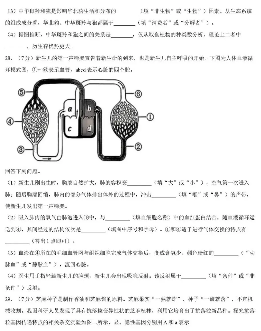 中考试卷:2026年河北省初中学业水平考试生物学试卷+参考答案-第8张图片-四季读书网