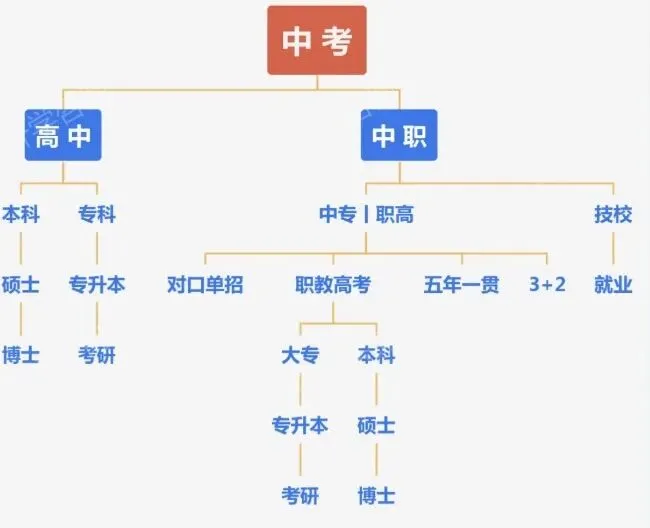 中考分流之困:AI时代的教育抉择与学业规划的新思考-第3张图片-四季读书网