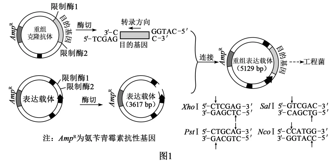 【高考真题】(8)2026高考生物学试题(河南卷)-第6张图片-四季读书网