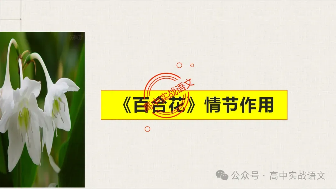【对标近年真题】高中语文统编教材【课内小说考点】逐课梳理-第53张图片-四季读书网