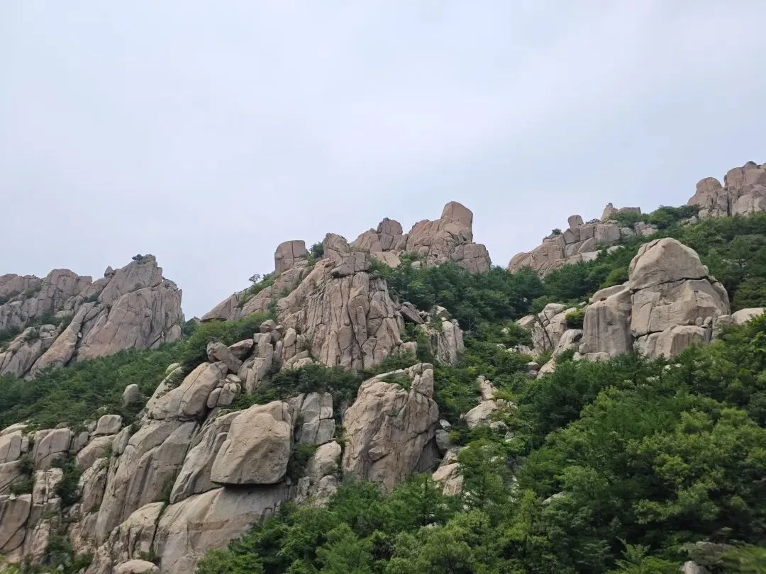 中考语文素材|别只会写爬山,一次山水相逢,搞定中考【善意/包容/文化】三大母题-第1张图片-四季读书网