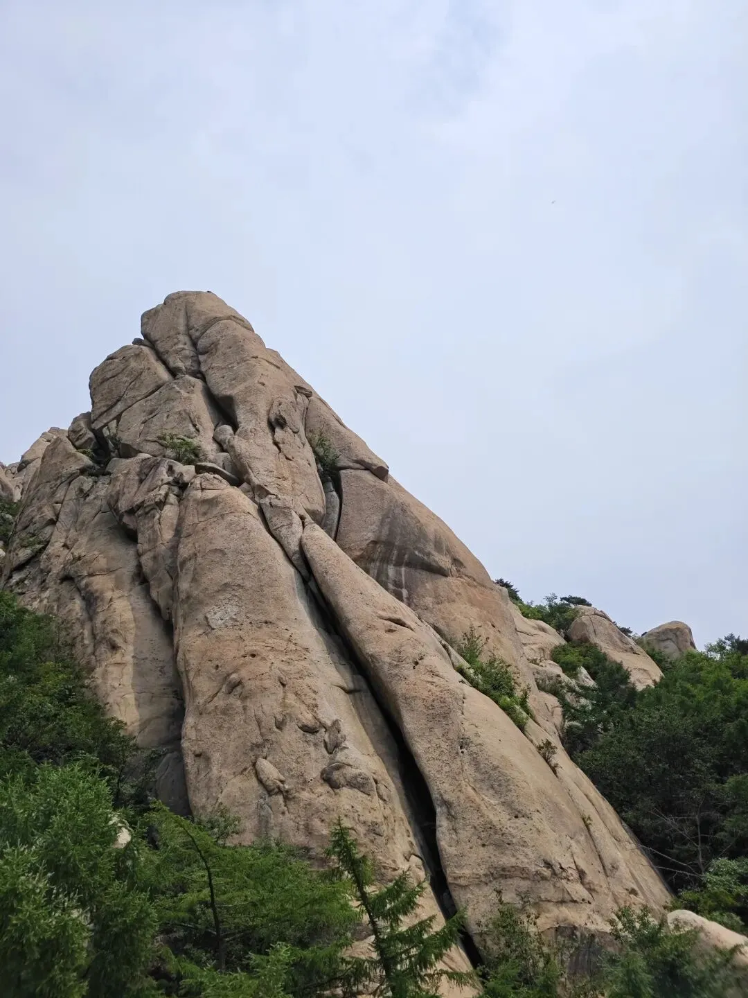 中考语文素材|别只会写爬山,一次山水相逢,搞定中考【善意/包容/文化】三大母题-第4张图片-四季读书网