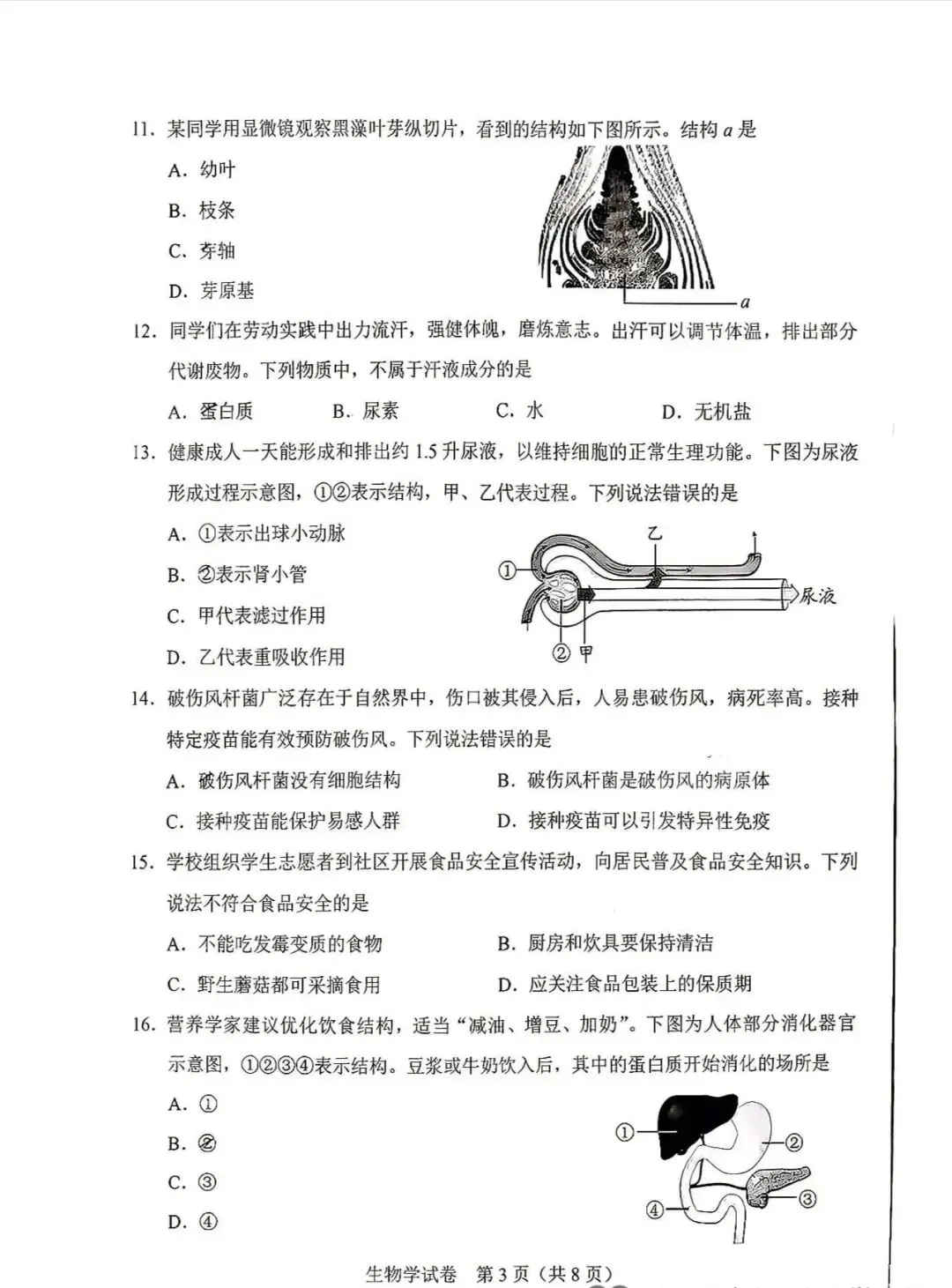 2026年生物学中考试卷:2026年河北省中考生物试题(有答案)-第4张图片-四季读书网