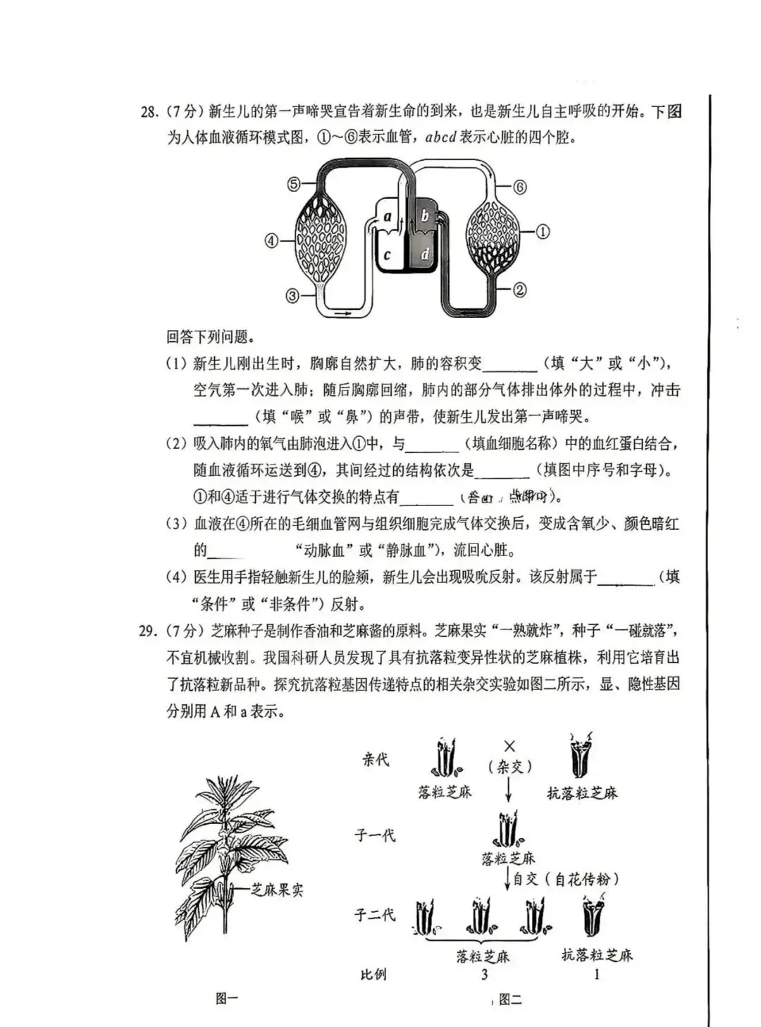 2026年生物学中考试卷:2026年河北省中考生物试题(有答案)-第8张图片-四季读书网