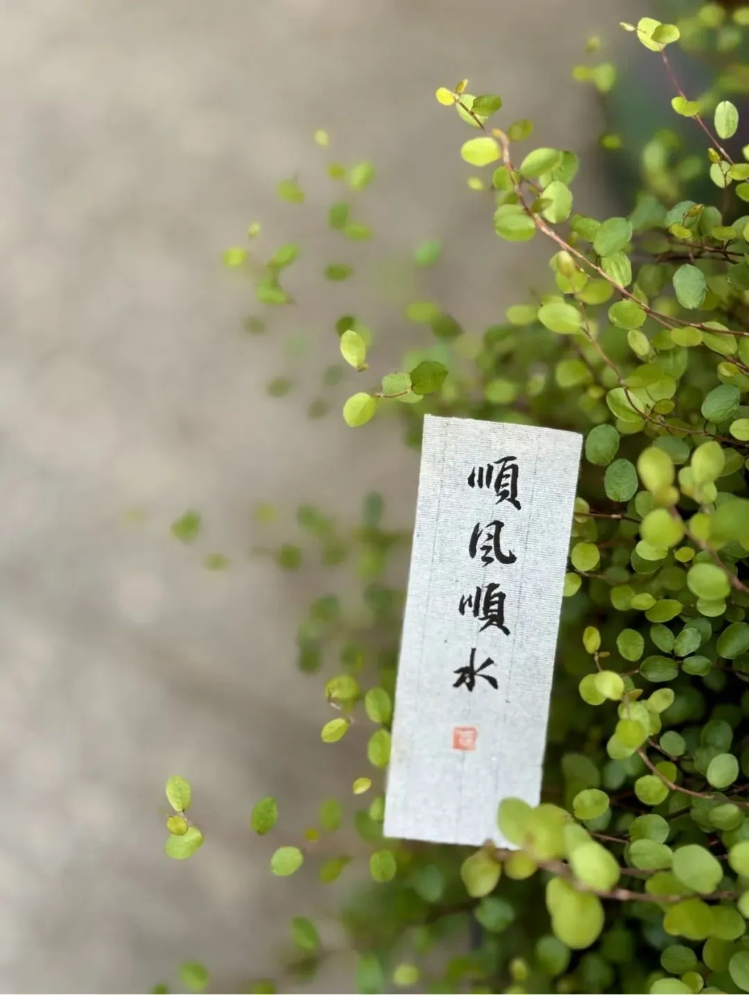 中考古诗对比阅读:答题思路+考场避坑指南|考前必看-第1张图片-四季读书网