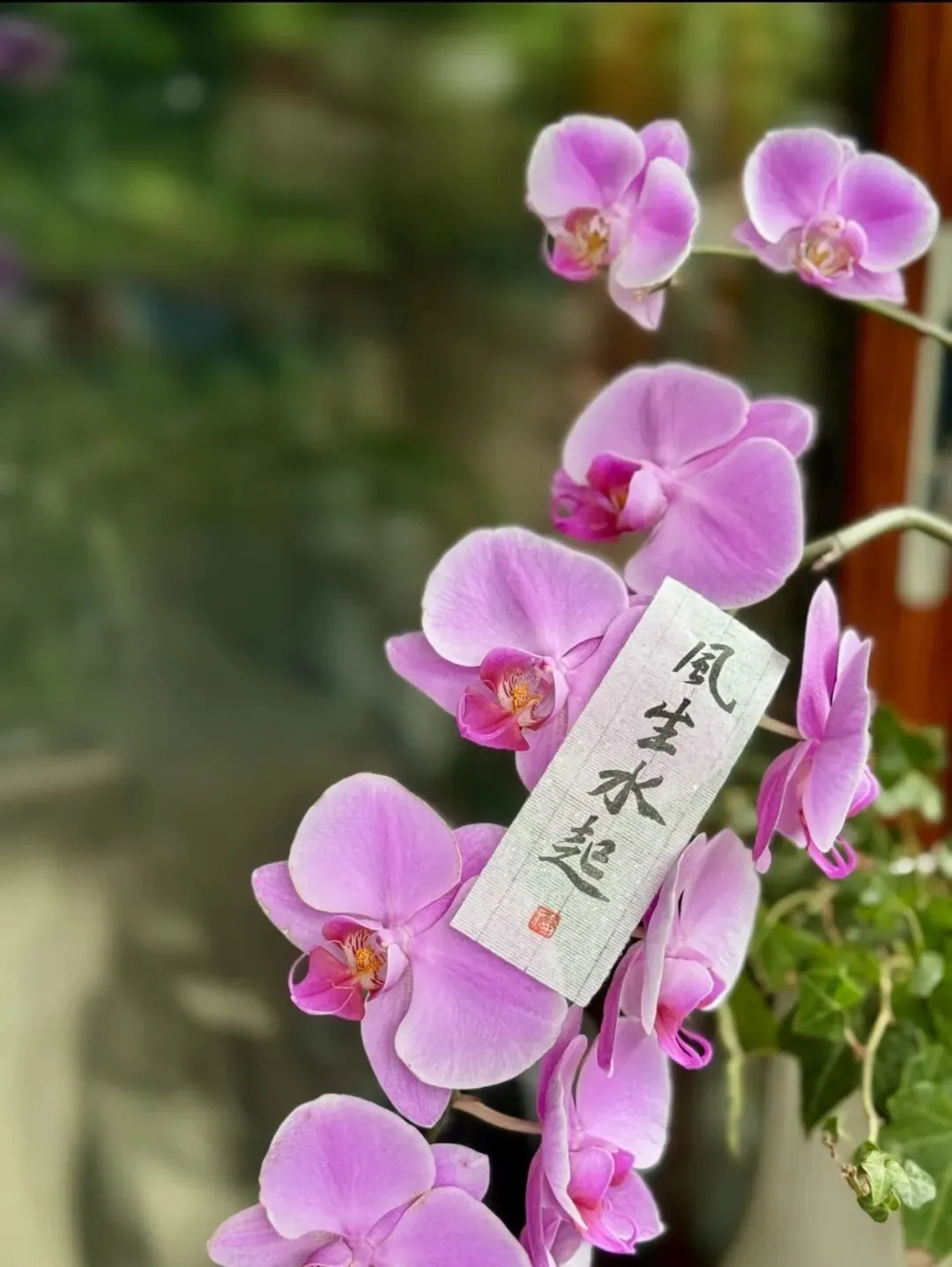 中考古诗对比阅读:答题思路+考场避坑指南|考前必看-第2张图片-四季读书网