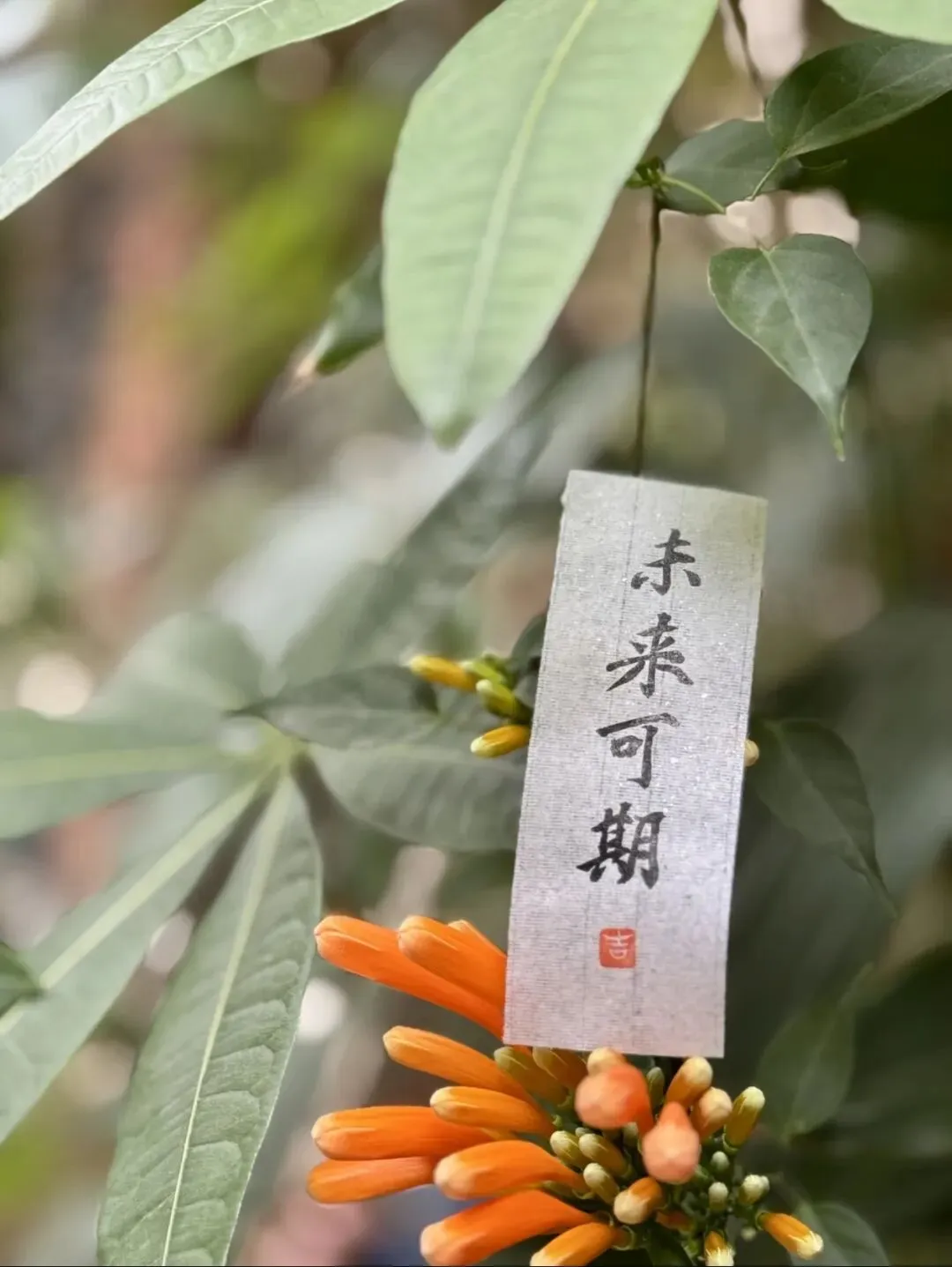 中考古诗对比阅读:答题思路+考场避坑指南|考前必看-第3张图片-四季读书网