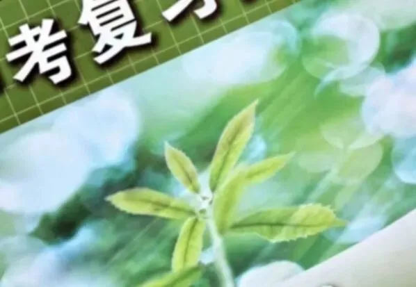 中考少了24分-第1张图片-四季读书网