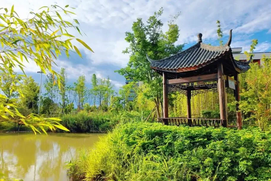 成都七中东部学校2026中考志愿线下咨询会开启!-第31张图片-四季读书网