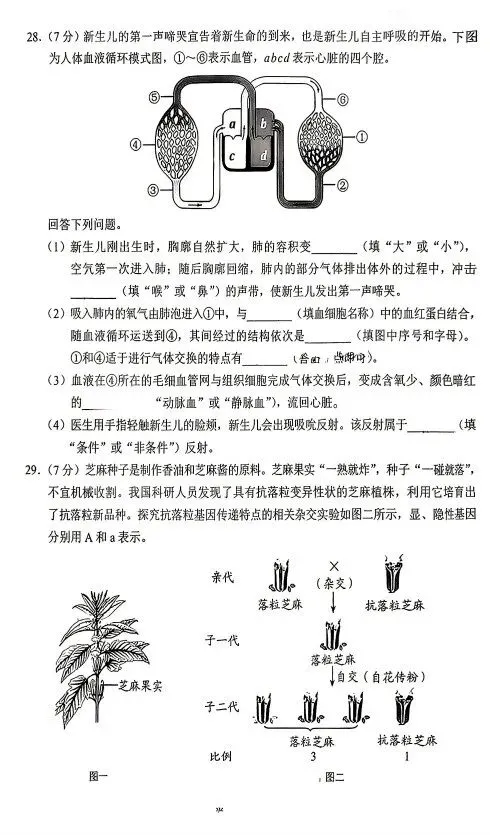 中考真题|2026年河北省初中生物学学业水平考试-第7张图片-四季读书网