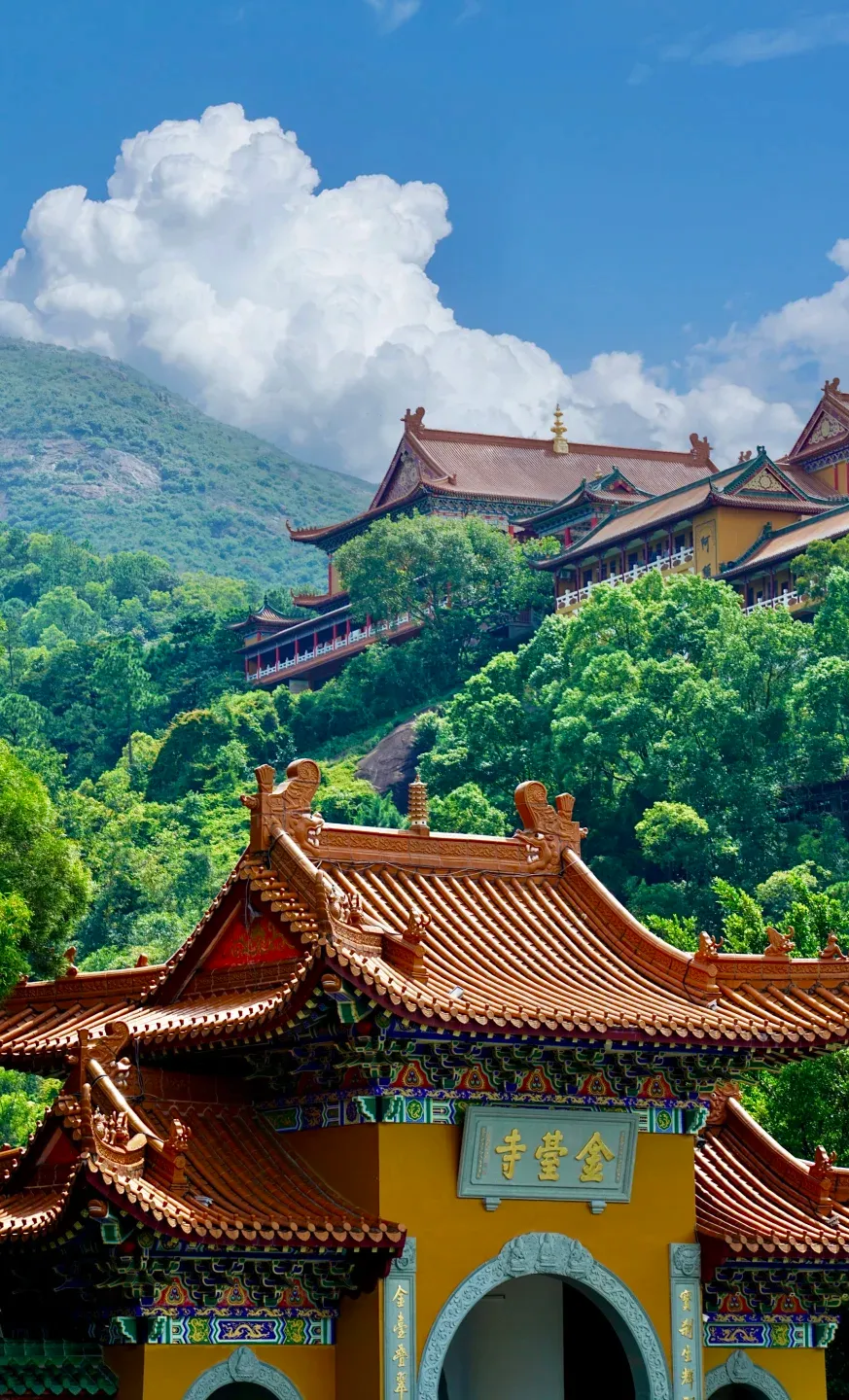 高分上岸!助力珠海中考&会考!为考生祈福!30s内转发必高分!!!-第24张图片-四季读书网