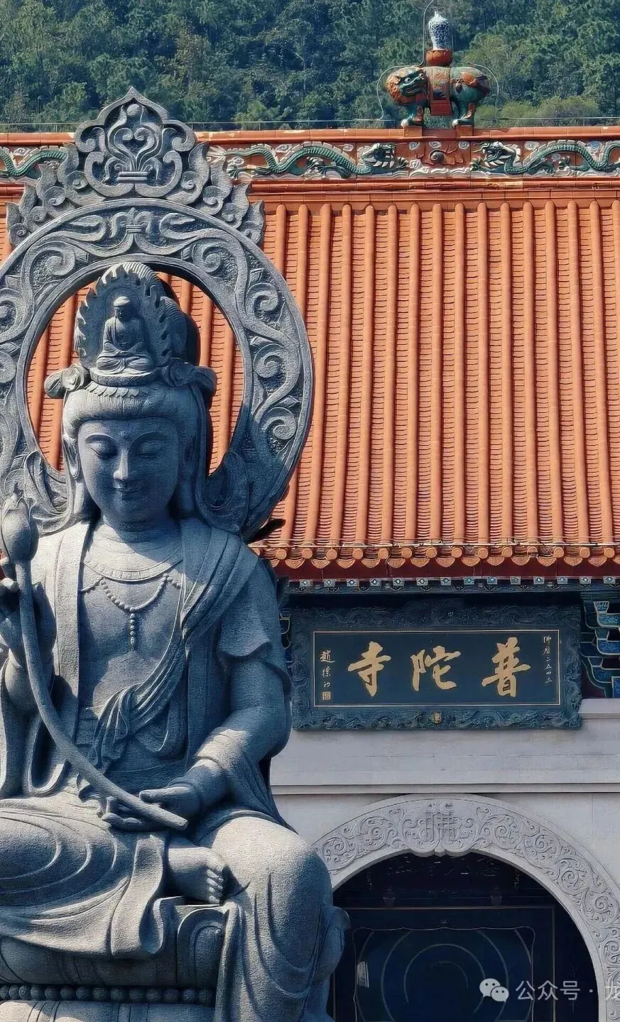 高分上岸!助力珠海中考&会考!为考生祈福!30s内转发必高分!!!-第26张图片-四季读书网