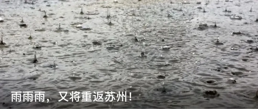 中考后择校到底是选择什么?苏州这位高中校长一语中的-第32张图片-四季读书网