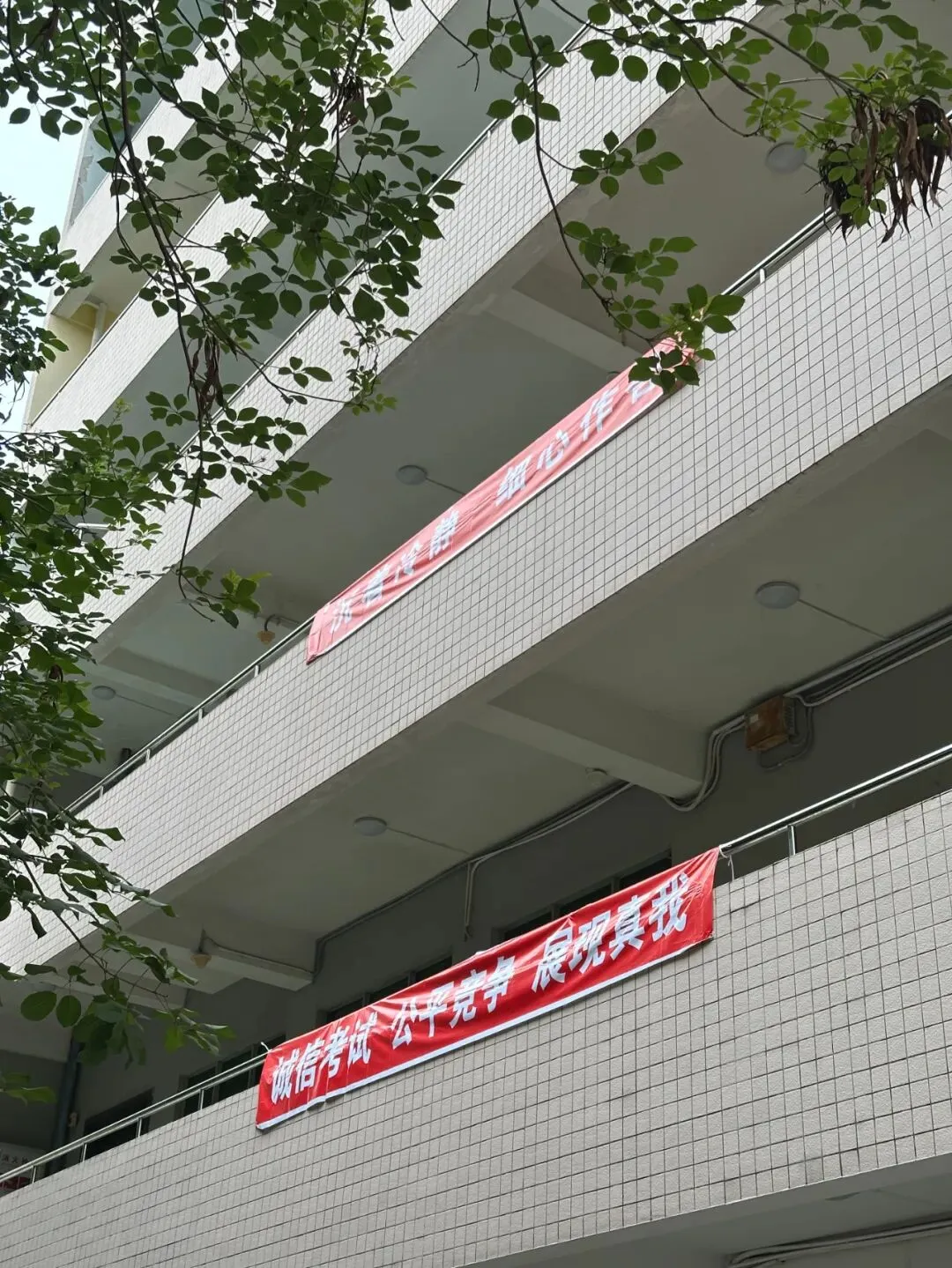 高校联盟模考落幕 考生以考促学冲刺专升本-第6张图片-四季读书网