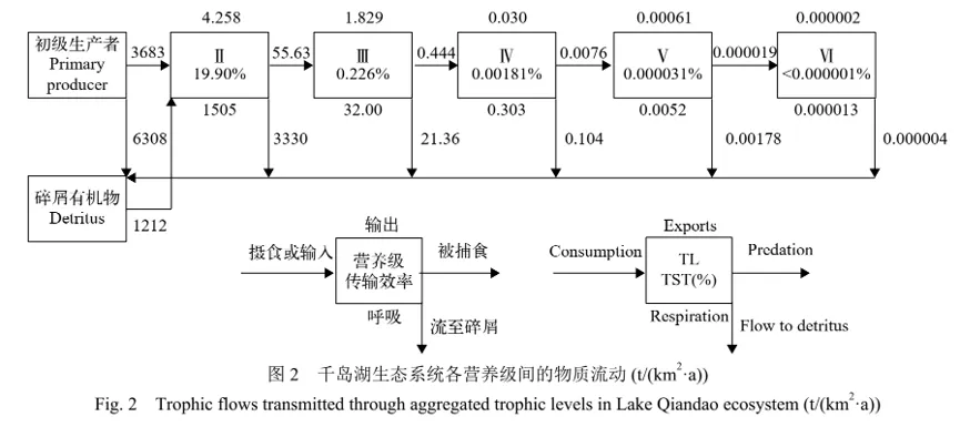 真题分析 | 并不简单的2026年广东卷19题-第3张图片-四季读书网
