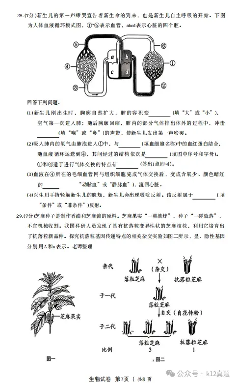 中考真题原卷:河北省2026年中考全9学科试题(有听力及分析,部分答案)-第74张图片-四季读书网
