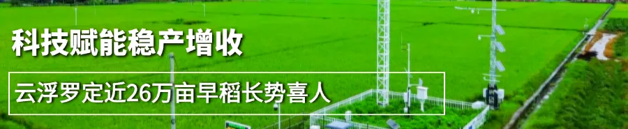 本周或有台风影响!云浮雨水“收尾”,中考天气预测→-第8张图片-四季读书网
