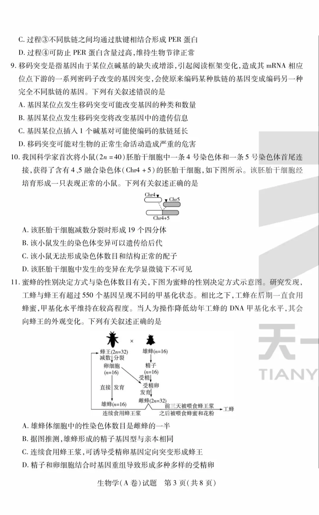 天一|高一下学生期末考试|生物试卷-第3张图片-四季读书网