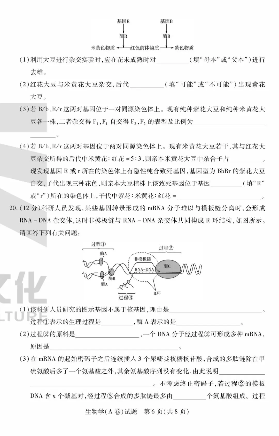 天一|高一下学生期末考试|生物试卷-第6张图片-四季读书网