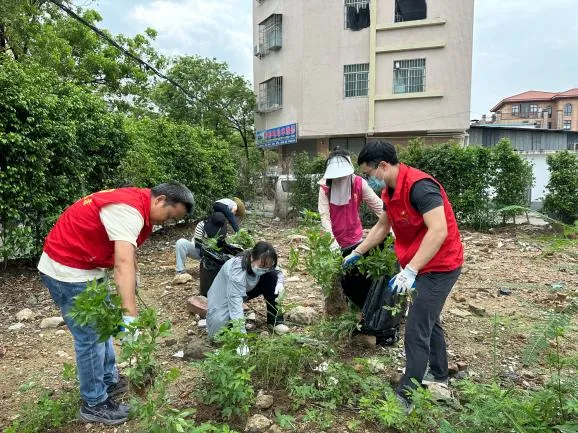 净环境、灭蚊虫,三角镇全力为中考学子安心应考保驾护航-第2张图片-四季读书网