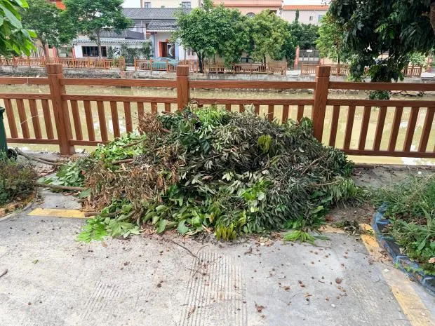 净环境、灭蚊虫,三角镇全力为中考学子安心应考保驾护航-第7张图片-四季读书网