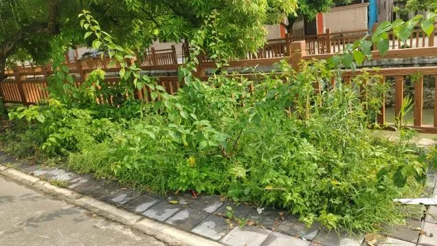 净环境、灭蚊虫,三角镇全力为中考学子安心应考保驾护航-第13张图片-四季读书网