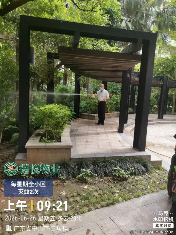 净环境、灭蚊虫,三角镇全力为中考学子安心应考保驾护航-第19张图片-四季读书网