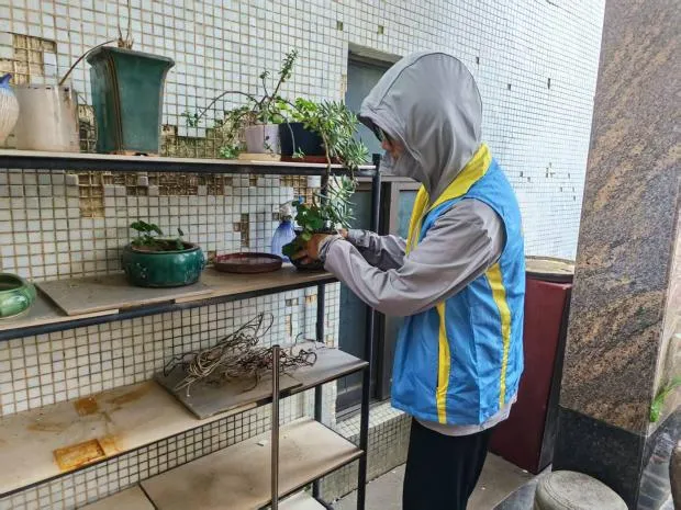 净环境、灭蚊虫,三角镇全力为中考学子安心应考保驾护航-第25张图片-四季读书网