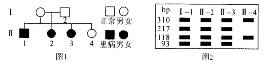 遗传的基本规律及伴性遗传——高考生物真题模拟试题专项汇编-第2张图片-四季读书网