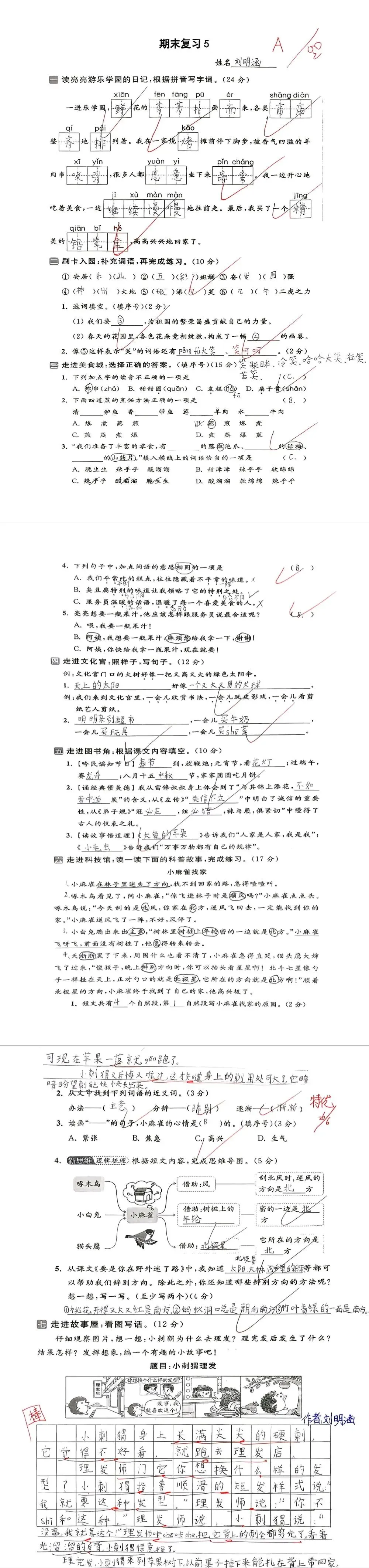【单元试卷】期末精选试题5+答案(二年级下册)-第6张图片-四季读书网
