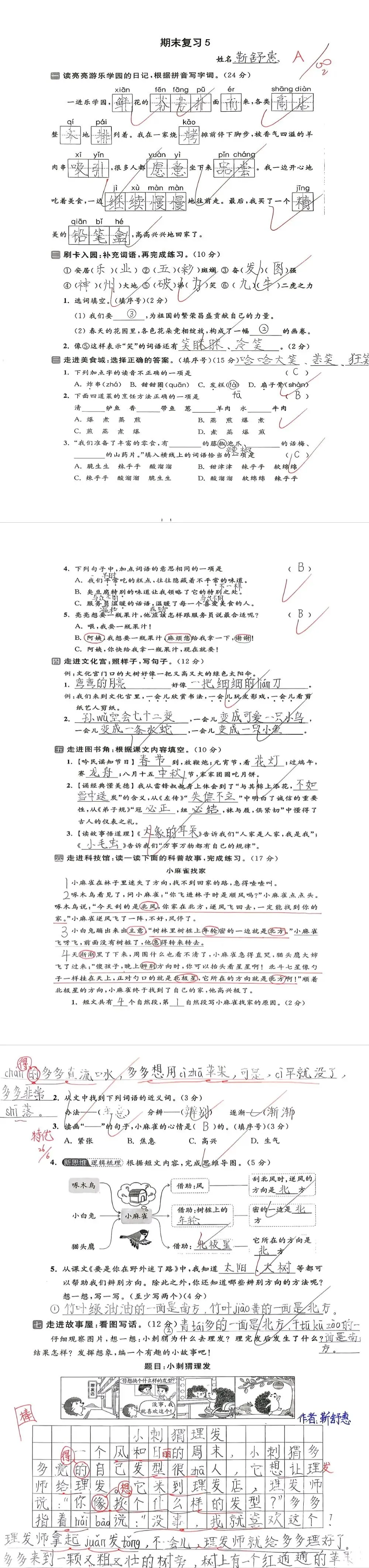 【单元试卷】期末精选试题5+答案(二年级下册)-第7张图片-四季读书网