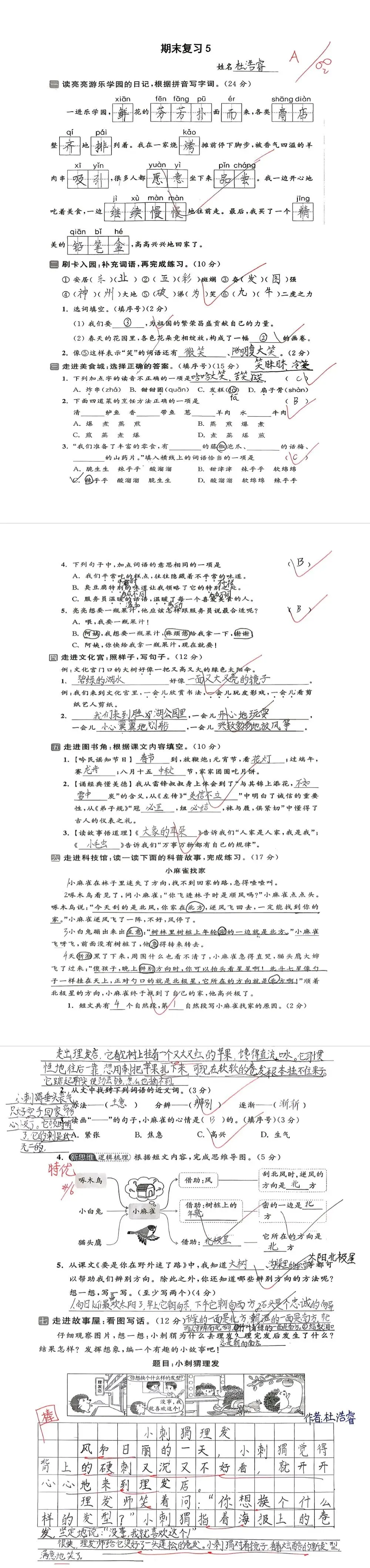 【单元试卷】期末精选试题5+答案(二年级下册)-第8张图片-四季读书网