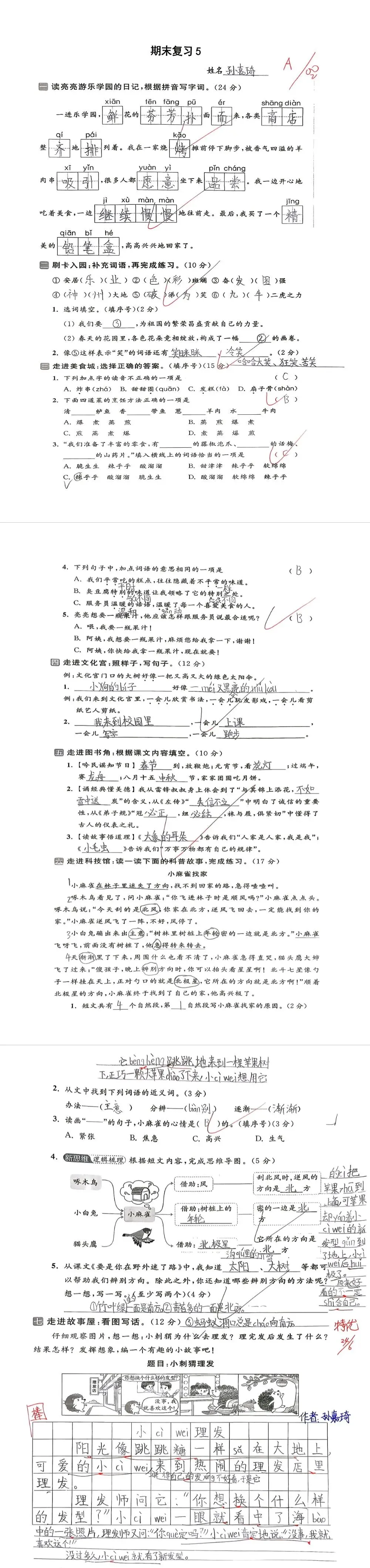 【单元试卷】期末精选试题5+答案(二年级下册)-第9张图片-四季读书网