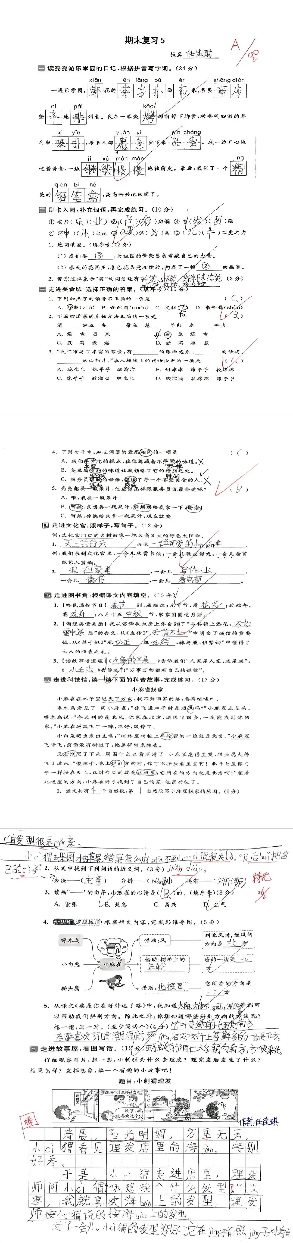 【单元试卷】期末精选试题5+答案(二年级下册)-第10张图片-四季读书网