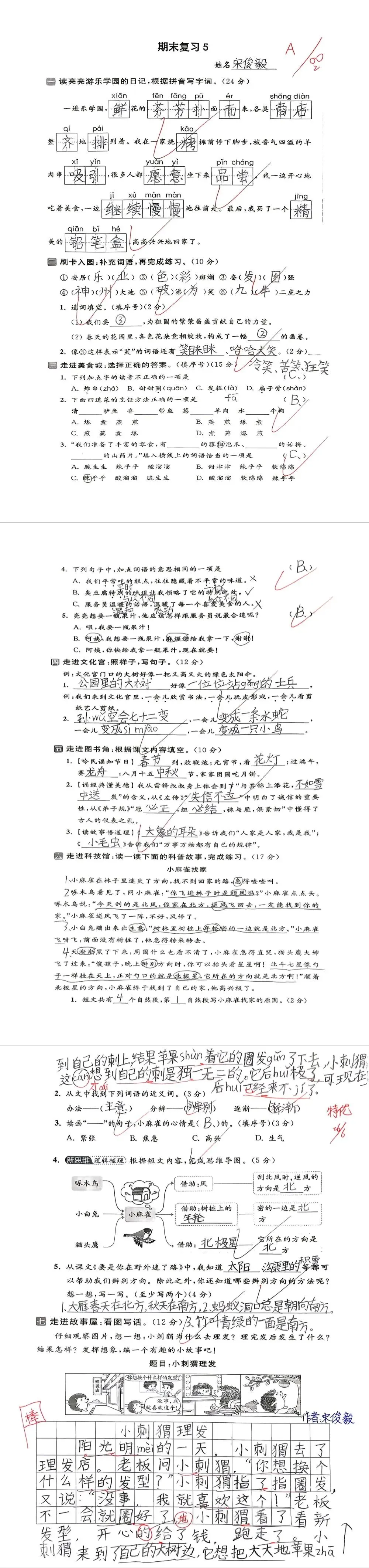 【单元试卷】期末精选试题5+答案(二年级下册)-第18张图片-四季读书网