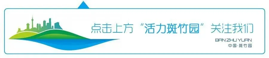最新 | 新都区2026中考分数线来啦~(内含新都区中考一分一段统计)-第1张图片-四季读书网
